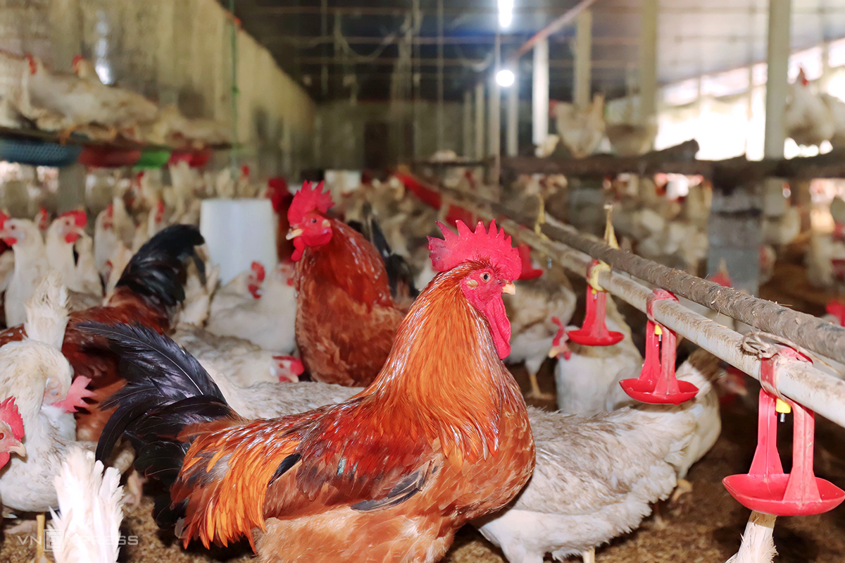 Công ty Cổ phần Xuất Nhập Khẩu Quốc tế Vephatech