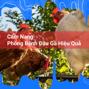 Phòng Ngừa Và Kiểm Soát Cúm Gia Cầm